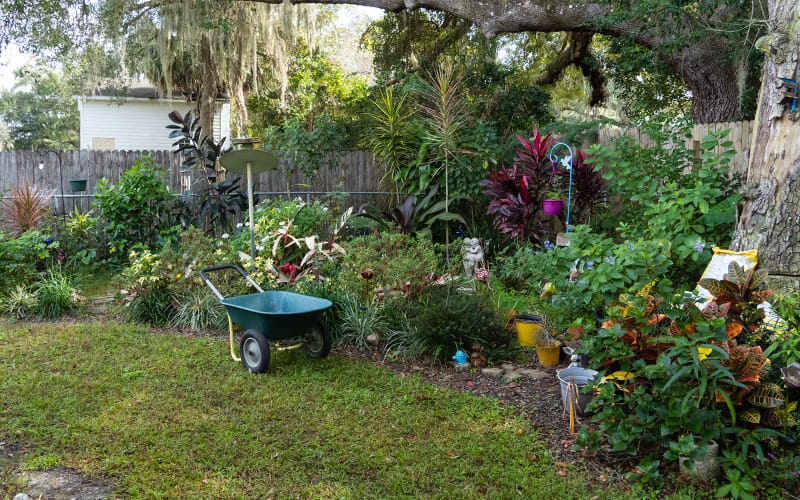 Grandma's Garden